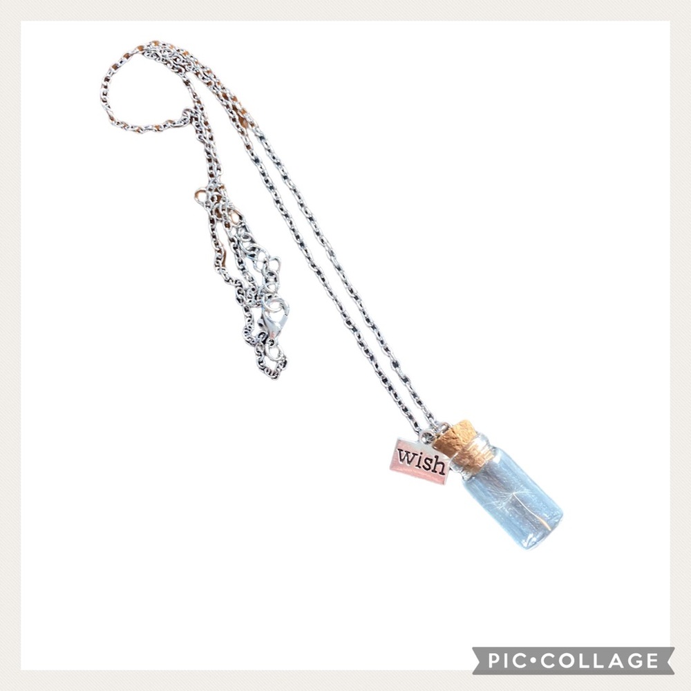 NWT Silver Tone Feather In A Bottle Necklace